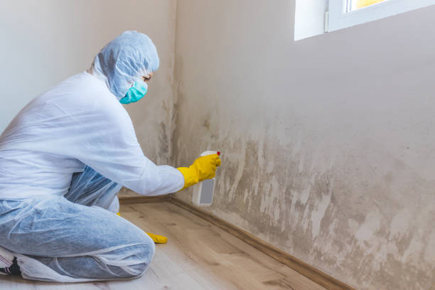 Licensed Mold Removal service in Marshall, TX - WQB Mold Removal