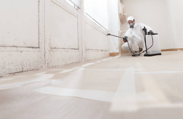 24/7 Emergency Mold Removal experts in Marshall, TX