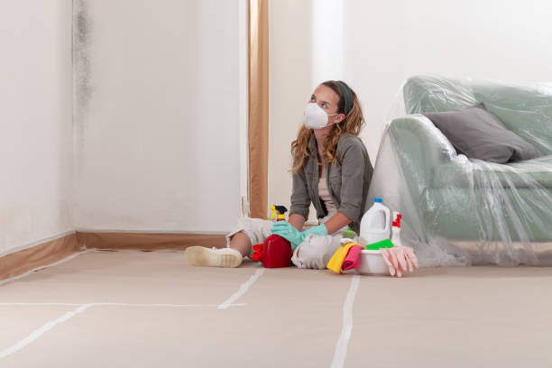 Reliable Mold Removal contractor in Marshall, TX by WQB Mold Removal